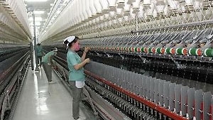 Microsoft solution helps bolster performance of Dong Quang Spinning