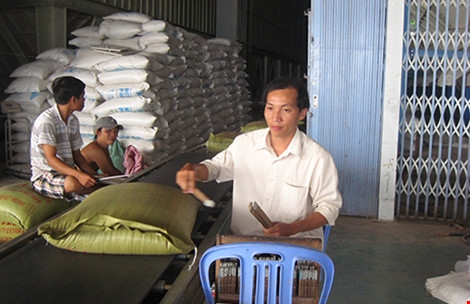 Firms have to set up business in Singapore to export Vietnamese rice