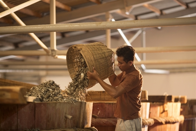 Firms fish for stake in sauce market