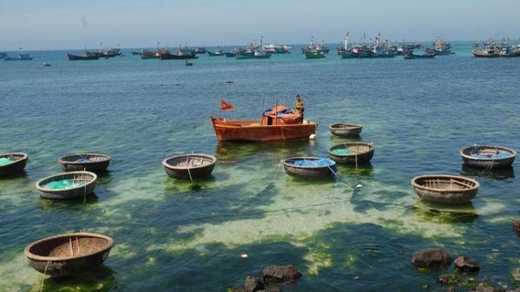 Vietnamese fishing village overcomes shyness to host tourists