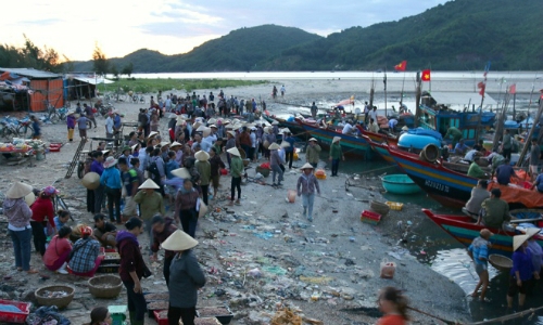 Vietnam unveals plan for inspecting seafood affected by toxic spill