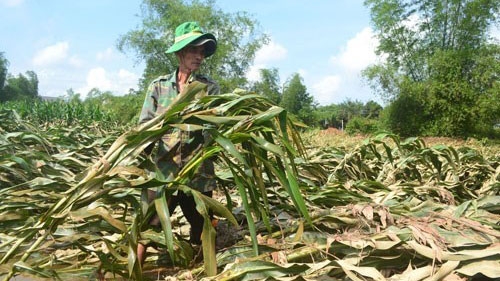 Unusual floods kill 3 in central Vietnam