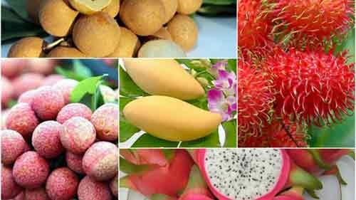 Fruit, vegetable export value up in H1