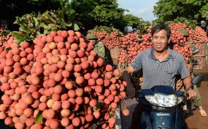 High air freight costs hinder Vietnamese fruit exports