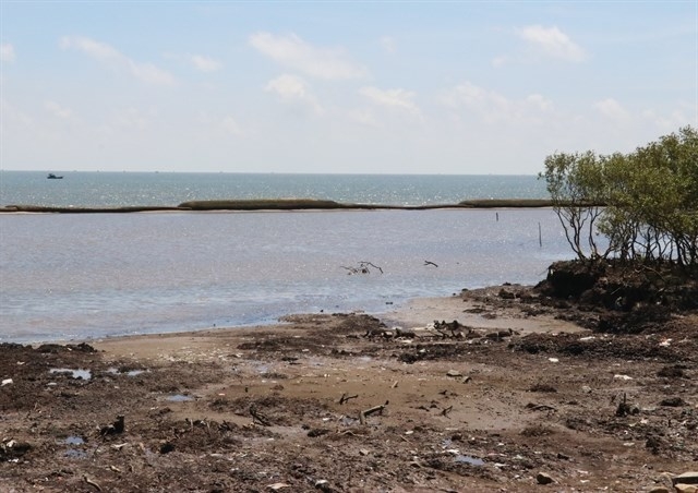 Tien Giang plans to repair geotube sea dyke