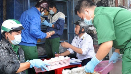 Education Ministry steps up avian flu prevention measures