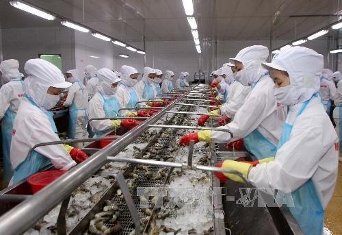 Shrimp exports remain buoyant