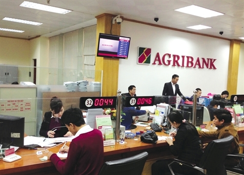 US$4.4 billion enough to build hi-tech agriculture in Vietnam?