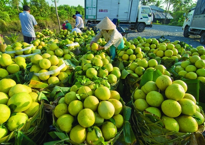 Vietnam vegetables export value rise