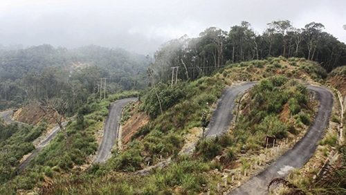 Cable car greenlighted for Vietnam’s nature reserve