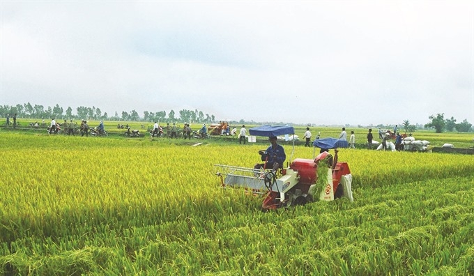 Farm co-ops target int’l links