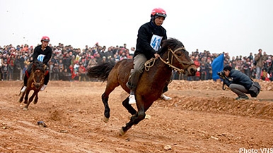 Hanoi hosts traditional Bac Ha horse racing