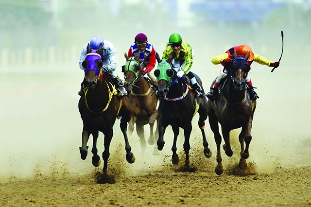 Hanoitourist plans US$500mn horse racetrack in Hanoi