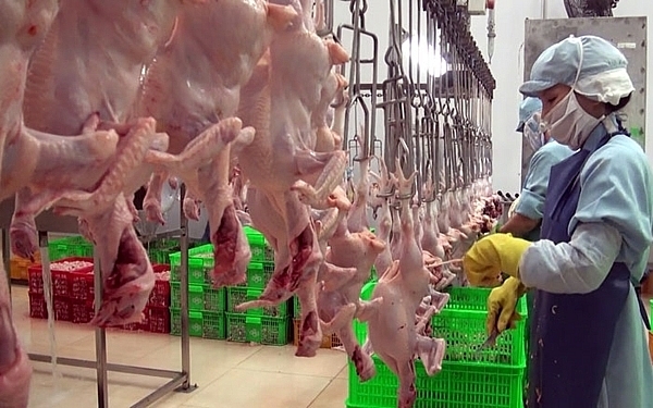 Investors from Poland seize opportunity to corporate in foodstuff
