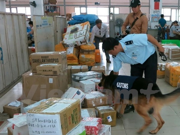 1.9 tons of stimulant leaves khat from Africa seized in HCM City