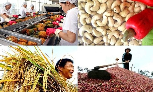 Vietnamese farmers: Opportunities and challenges in global integration