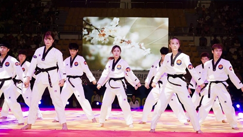 Culture fest showcases best of Korea