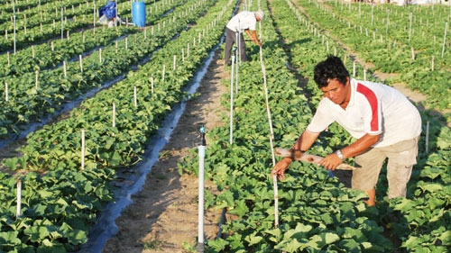 Over 1.6 million rural labourers benefit from vocational training project