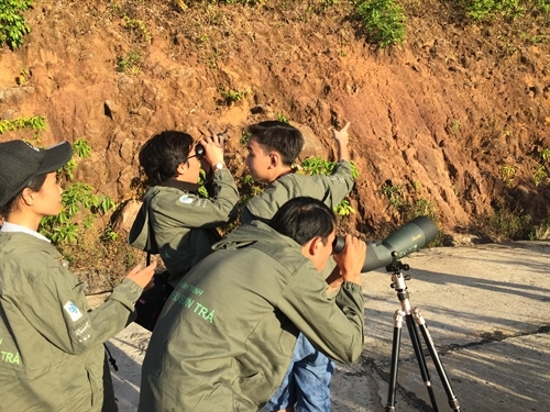 Vietnamese students win gold medal for langur research