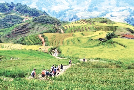 Lao Cai braces for ‘tourism year'