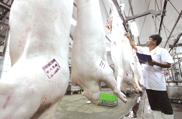 Vietnam's livestock, poultry meat market worth US$18 billion