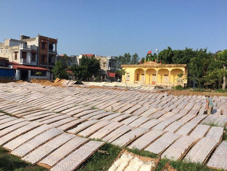 Lo Cuong rice noodle village thrives despite urbanization