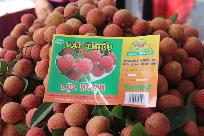 Vietnam posts best lychee crop in 60 years