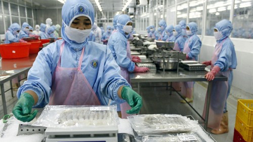 Rough seas ahead for Vietnamese seafood exporters