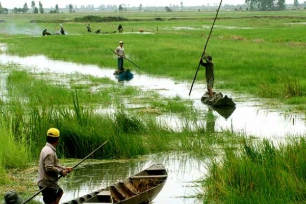 The four challenges threatening the Mekong Delta