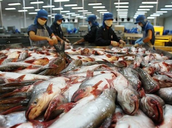 Ministry cracks down on fishery products