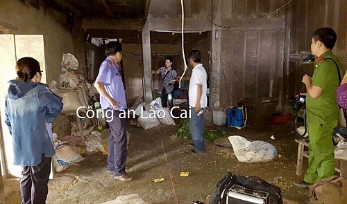 Four family members found dead in suspected murder in Lao Cai