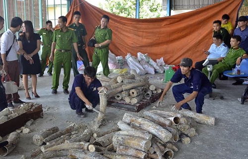 Vietnam to destroy seized rhino horn, ivory