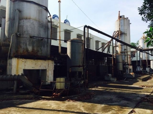 Government Inspectorate urged to probe giant pulp project