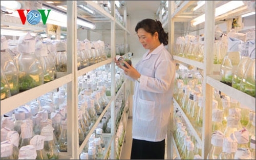 Science ministry asks for total State funding on some projects