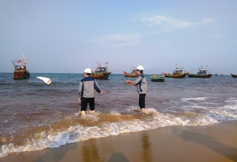 100 scientists helping Vietnam crack fish death mystery