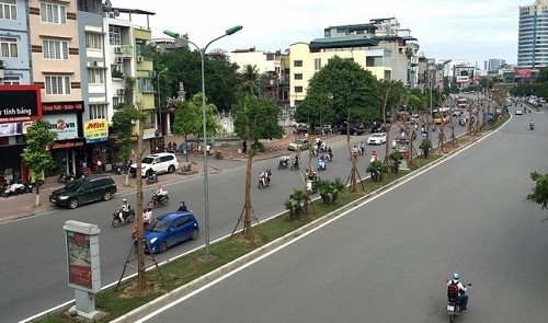 Hanoi to feature flamboyant trees on streets