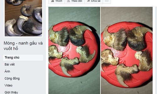 In Vietnam, Facebook is a marketplace for cheap fakes and endangered wildlife parts