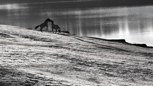 Black and white photo exhibition takes place in Da Lat