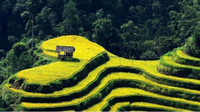 Photo exhibition shows off Vietnam's rice terrace paradise