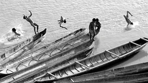 Photographers win gold medals at int'l contest