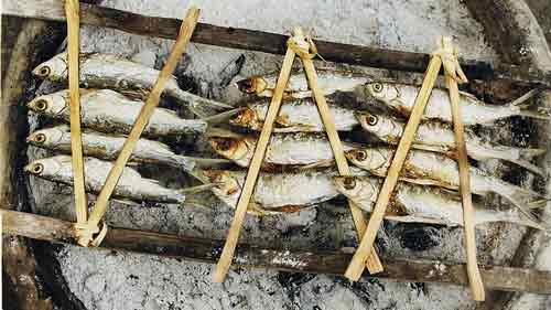 Grilled sharpbelly - A specialty of Phu Yen province