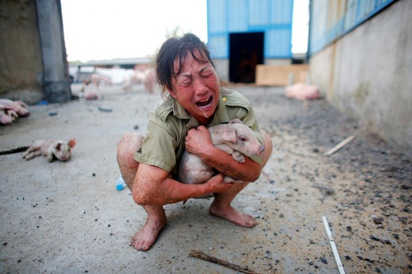 Heavy rain in China kills at least 87, thousands evacuated