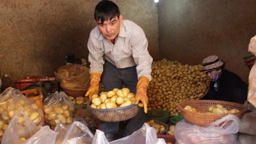 Da Lat lifts ban on Chinese potato imports after ten days
