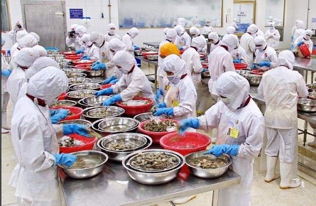 Vietnamese enterprises dominating processed food market