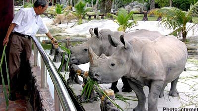 Workshop shares rhino protection information