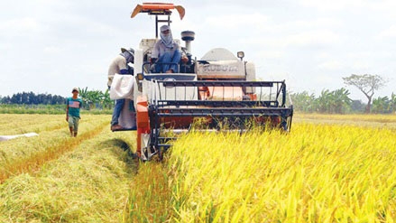 Farmers reap gains from new model