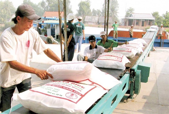 Vietnam rice firms chafe at China import limits