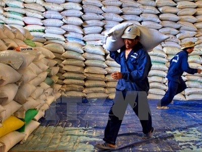 Vietnam's Jan-April rice exports fall to 9-year low - govt