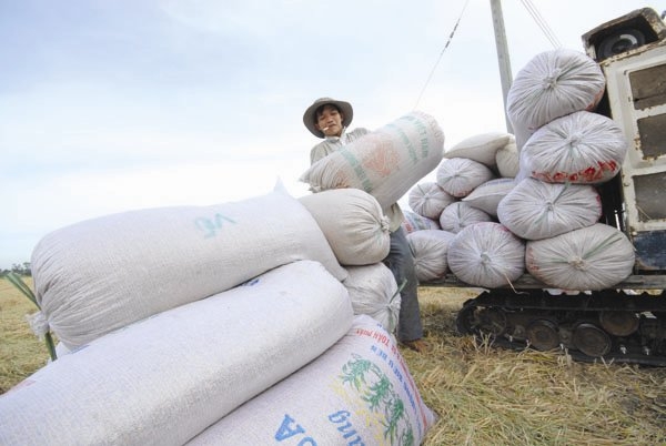 Vietnam’s rice price out of sync with rest of world