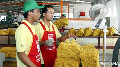 Vietnam predicted to become third largest rubber exporter